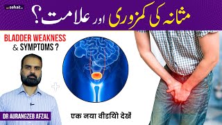 Masany Ki Kamzori Ki Alamat | Bladder Weakness Symptoms - Causes \u0026 Treatment in اردو/हिंदी