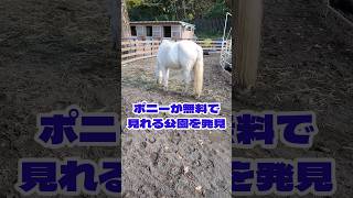 ポニーが無料で見れる公園