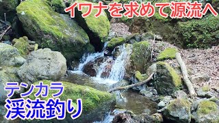 【渓流釣り】イワナを求めて源流へ【テンカラ・愛知川】