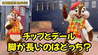 【キャラグリで遊ぼう】チップとデール脚が長いのはどっち？