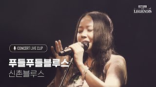 [리턴 오브 더 레전드] '신촌Blues 콘서트' - 푸들푸들 블루스