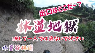 いきなり林道⁉︎大発見！出口がわからん！林道地獄⁉︎真庭市小童谷