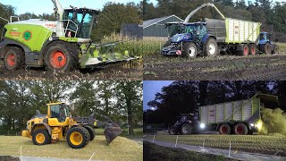 Mais hakselen en 2 kuilen maken - Loonbedrijf Grefelman met Claas Jaguar 950 en 2 Volvo L60 (2024)