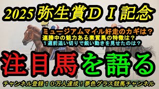 【注目馬を語る】2025弥生賞ディープインパクト記念！ミュージアムマイル好走のポイントになるのは？連勝中の素質馬にも注目！1週前追い切りで好走馬は？