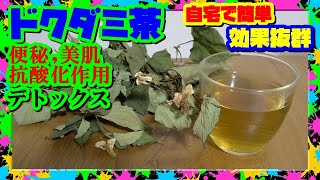 飲みたい！が続出🍵【どくだみ茶】の効能効果と作り方  凄い腸活！ダイエットにデトックス