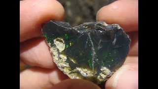 Ethiopian Welo Natural  Rough Black Opal #372