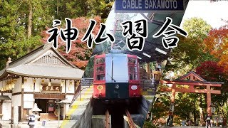 【琵琶湖一周旅行】#1 朝陽差す日吉大社から、ケーブルカーで比叡山延暦寺へ