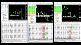 forexROBOtrading5 Live Stream