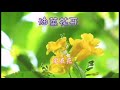 歌曲：油菜花开