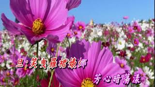 洛水夢會         JUDY平喉伴唱2019年5月29日