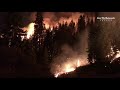 Fire in the coast redwoods and giant sequoia