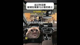 当过年回家，被堵在离家几公里的路上#有趣 #故事 #貓 #猫猫meme小剧场 #猫meme #内容过于真实 #猫meme小剧场 #猫meme剧场 #喵不可言 #shorts