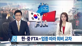 [대전MBC뉴스]한중FTA 타결 지역도기대반우려반