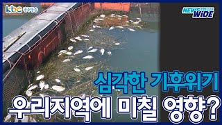 기후위기는 광주·전남에 어떤 영향을 미칠까? | 기후위기 | 환경문제 | 환경오염 | 광주전남