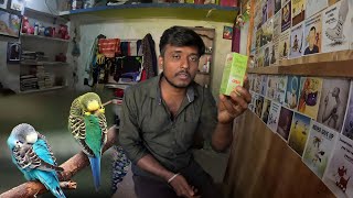 Birds Mane Aji Khusi ||Birds Vlogs