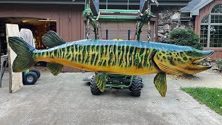 8ft Tiger Muskie!