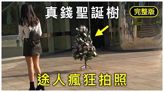 【DEMICER】「完整版」中環街頭出現真錢聖誕樹？途人瘋狂拍照？｜[Full Version] Christmas Money Tree in Central? Free Money?