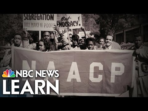 What does the naacp do?