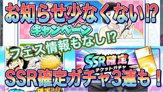 たたかえドリームチーム第304話　お知らせ少なくない⁉︎SSR確定ガチャ3連とお知らせ確認。