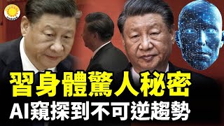 🚨🔍 習近平身體驚人秘密！AI窺探到不可逆趨勢；💰🕵️ 矢板明夫：芝麻大的小事賞8萬美金！北京到底砸了多少錢；🩸⚖️ 美國國會發表年度報告：中共活摘器官系統性侵犯人權【阿波羅網CA】