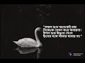 সফল হতে অনেকেই চায় bengalisayeri anuvutirontorale