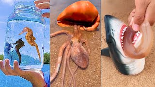 Catching Seafood 🦀🐙 Deep Sea Octopus (Catch Crab, Catch Fish) #124