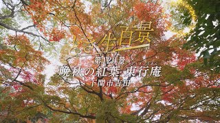 どき生百景VOL120 晩秋の紅葉 東行庵（下関市）