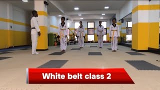 Taekwondo Exercises: How to Train at Home