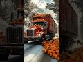 a truck with tangerines is rushing for the new year 🎄🎄🎄