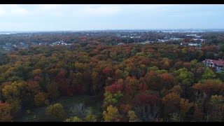 Soaring above Staten Island: Fall foliage in full bloom