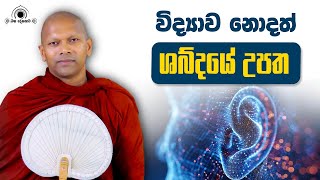 විද්‍යාව නොදත් ශබ්දයේ උපත