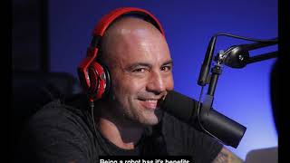 RealTalk: We Recreated Joe Rogan's Voice Using Artificial Intelligence