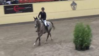 Balboa SH, Breeders Trophy 161006