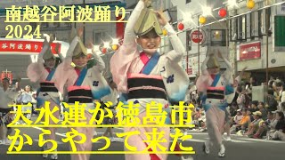 2024南越谷阿波踊り　天水連が徳島市からやって来た