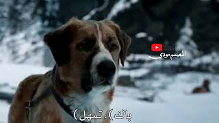 لحن الموت💔فيديو يكسر الكلب😥