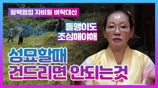 ★성묘, 벌초할 때 절대로 건드려서는 안되는 것!!★ 산소탈 조상바람은 다 이것 때문..? 평택점집 평택유명한점집 자비원 벼락대신