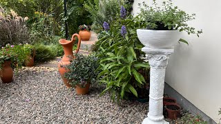 This white pedestal changed the entire look of my garden - find out how!