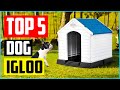 Top 5 Best Dog Igloo of 2022 Review