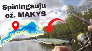 LYDEKŲ žvejyba spiningu ežere MAKYS +SUBTITITLES LT/EN/RU/LV (PIKE FISHING, Рыбалка на щуку в литве)