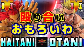 スト５✨ハイタニ [豪鬼] Vs 大谷 [ルーク] 殴り合いおもろいわ  | Haitani [Akuma] Vs Otani [Luke]✨SFV