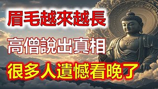 常說：「眉毛一根長，勝過萬擔糧」，眉毛越來越長代表了什麼？是長壽特徵還是身體出問題，高僧說出真相，很多人遺憾看晚了！