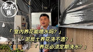 【养花必懂小知识】室内养花能喷水吗？泥炭土养花浇不透？养花必须定期浇水？Tips and tracks for 3 hot topics.