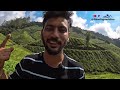 all in 1 munnar travel video in hindi munnar travel secrets nobody tells you munnar travel guide