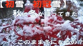 【初雪・初冠雪】本格的な雪･･･冬の足音が！？（20141028_AM07:30更新）