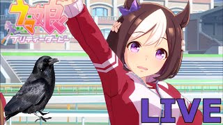 【ウマ娘プリティーダービー】寒い！！辛い！！やるぞ！！