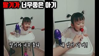 딸기에 환장하는 아기ㅋㅋ (인생497일차) :: a strawberry-crazy baby