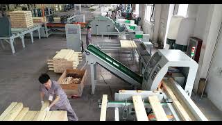 SF6060S+8010 wood cutting , sorting and stacking line