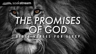 Experience MIRACULOUS Sleep with 100+ POWERFUL Bible Verses!