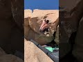 Fit for an Autopsy V7 - Joshua Tree