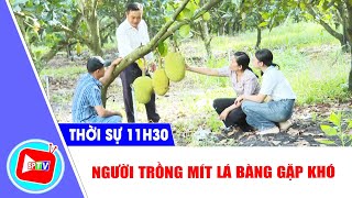 🔴[Trực tiếp] - Thời sự Bình Phước trưa 17-1-2025